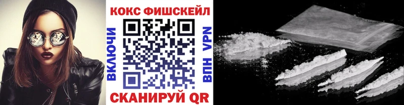 Купить закладки  Называевск  COCAIN Fish Scale 