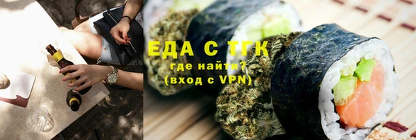 шишки Горняк