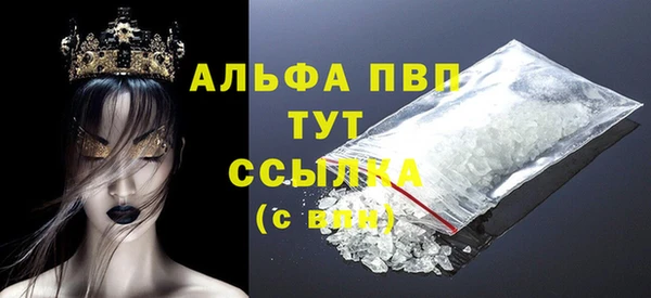 шишки Горняк