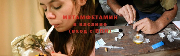 шишки Горняк