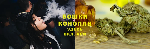 шишки Горняк