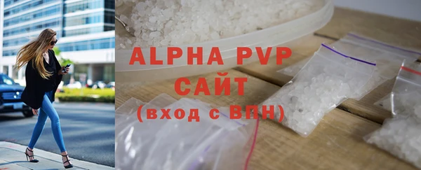 шишки Горняк
