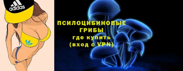 дурь Горно-Алтайск