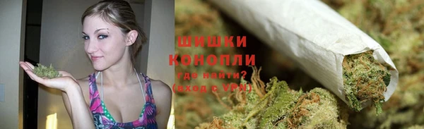 шишки Горняк