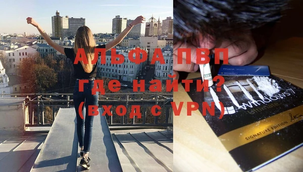 шишки Горняк