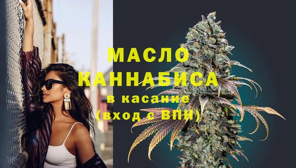 шишки Горняк