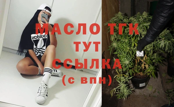 шишки Горняк