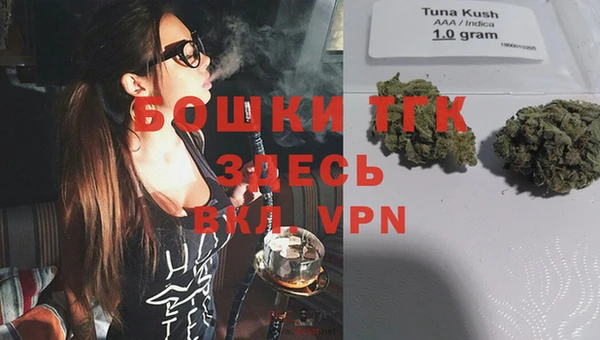 шишки Горняк