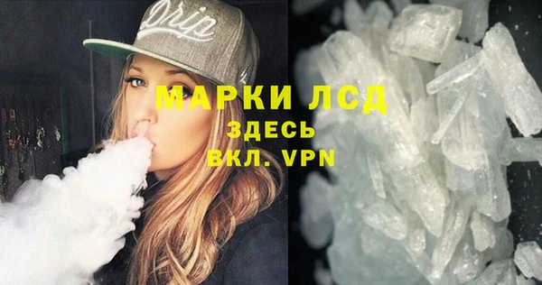 шишки Горняк