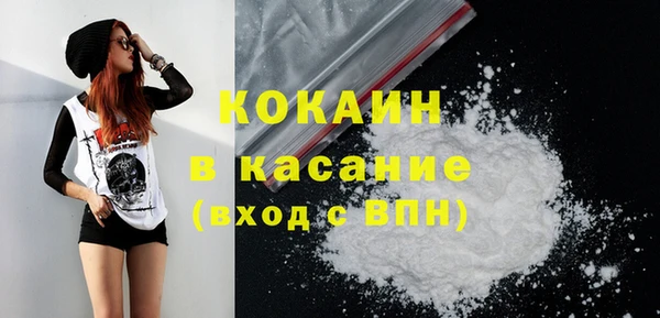 шишки Горняк