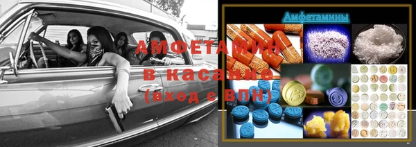 шишки Горняк