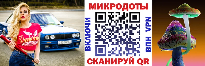 Купить закладки  Называевск  Псилоцибиновые грибы Psilocybine cubensis 